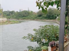 -生宇山珍野生菌汤锅•始于1999(双流古塔店)