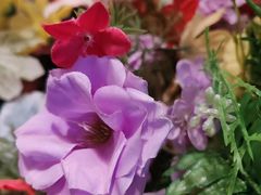 -世博源公馆·本帮融合菜·主题包厢·江景餐厅