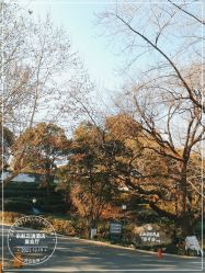 -东航云逸酒店·宴会厅