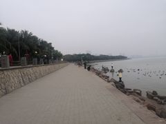 -深圳湾公园(南山区)