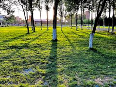 -汉长安城未央宫国家考古遗址公园