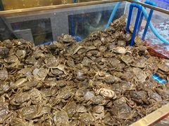 -半岛听涛蒸汽海鲜自助(K11店)