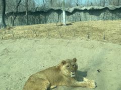 -北京野生动物园