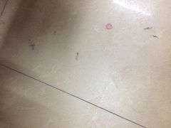 广州天河希尔顿酒店-广州天河希尔顿酒店