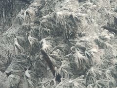 -紫金山索道-售票处