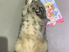 -小时光咖啡馆(开森度假森林店)