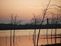 -黄海国家森林公园