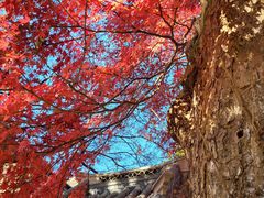 -青岛崂山太清宫