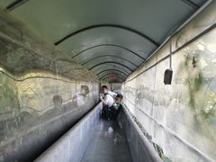 -塔云山