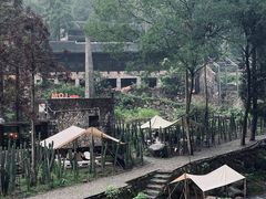 -MOJ coffee(瓯海泽雅水碓坑店)