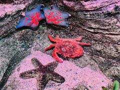 -沈阳海洋探索中心