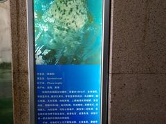 -厦门海底世界