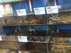 -北港方记海鲜楼·海景餐厅