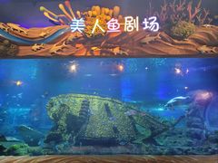 -太奥幻太奇海洋馆