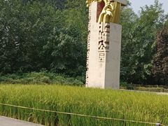 -北坞公园