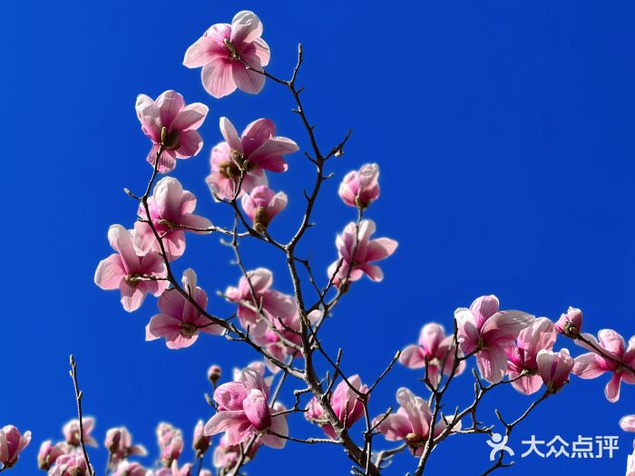 济南国际园博园图片