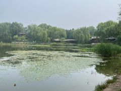 -北坞公园