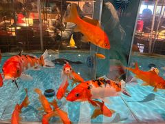 -辣得叫湘菜(四明店)