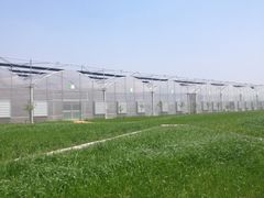 -上膳源有机蔬菜(三泉路店)