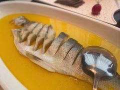 鸡汁大白鱼-食悦江南·淮扬菜·烤鸭(亚运村·惠新店)