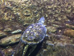 -成都浩海立方海洋公园