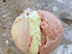 粉红芭乐-Dal Cuore 达可芮冰淇淋(陕西北路店)