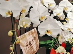 -拉蒂娜·巴西牛排馆 Latina·Brazilian Steakhouse(王府井喜悦店)