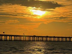 -宝安西湾红树林湿地公园