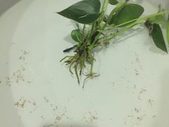 -莱蔻·圣灸堂·推拿艾灸(天山店)