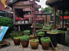-天怡·鱼工厂(临江店)