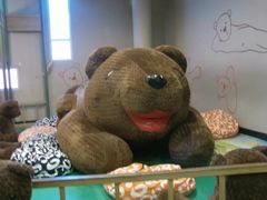 -济州岛泰迪熊博物馆