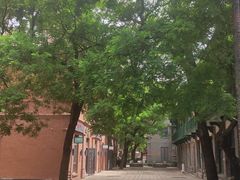 -绿地·中山里