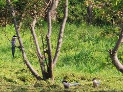 -蜀冈西峰生态公园