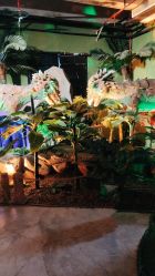 -恐龙探索乐园(磁器口店)