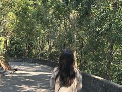 -中山市树木园