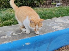 -贡湖湾湿地公园