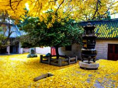 -青岛崂山太清宫