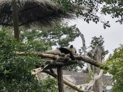 -武汉动物园