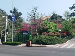 -八大关景区