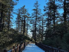 -瓦屋山景区