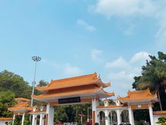 -深圳仙湖植物园