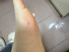 -丰台体育中心·游泳馆