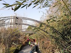 -贮水山儿童公园