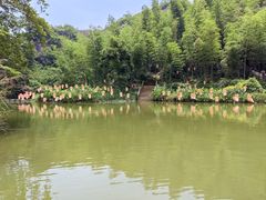 -飞天山旅游区