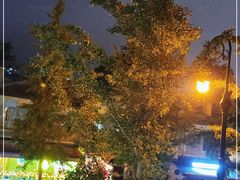 -LAMP BAR 水烟音乐酒吧
