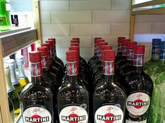 -谢列梅捷沃国际机场