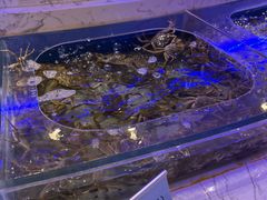 -澜悦港海鲜体验主题餐厅