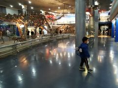 -国家自然博物馆