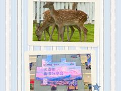 -长沙悦方ID MALL