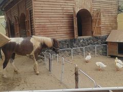 -HERRE·FARM 赫尔露营农场·团建聚会包场